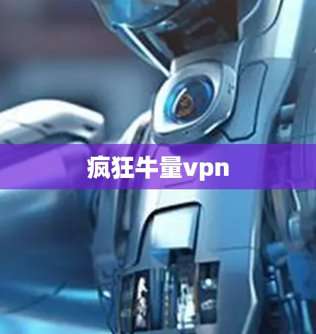 疯狂牛量vpn