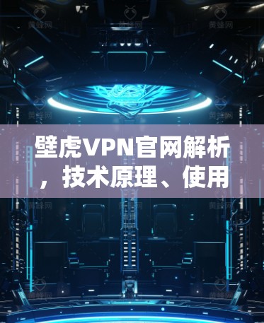 壁虎VPN官网解析，技术原理、使用指南与潜在风险