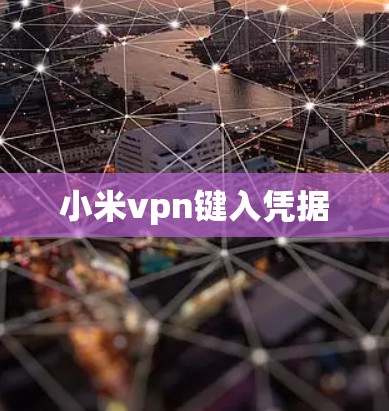 小米vpn键入凭据