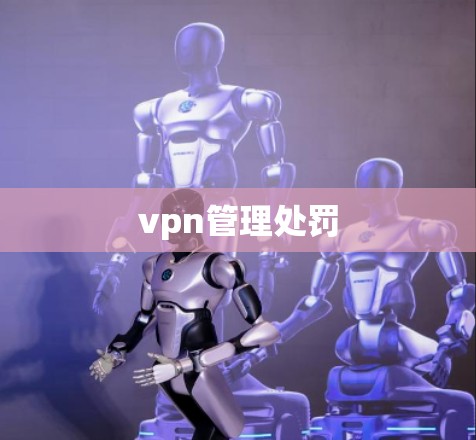 vpn管理处罚