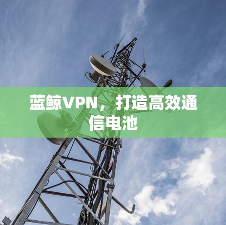 蓝鲸VPN，打造高效通信电池