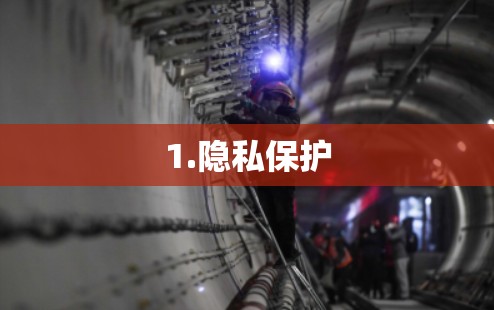 1.隐私保护