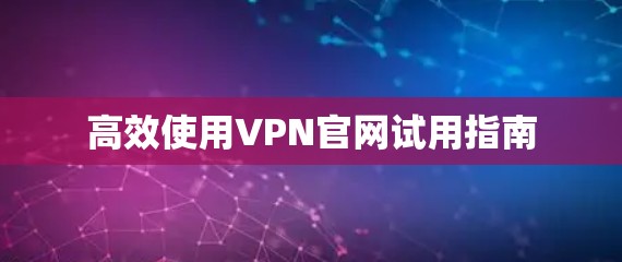 高效使用VPN官网试用指南