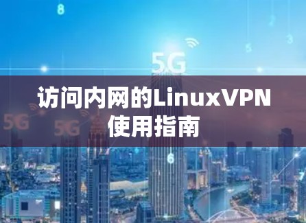 访问内网的LinuxVPN使用指南