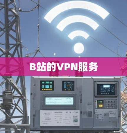 B站的VPN服务