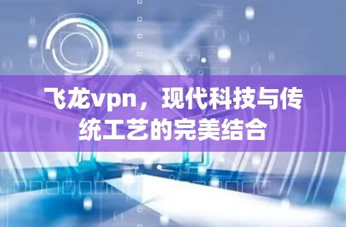飞龙vpn,现代科技与传统工艺的完美结合