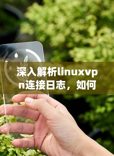 深入解析linuxvpn连接日志,如何保障网络安全?