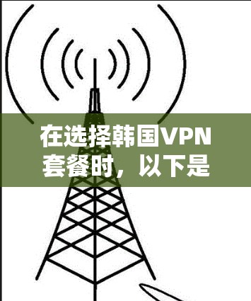 在选择韩国VPN套餐时，以下是一个结构化的总结和建议