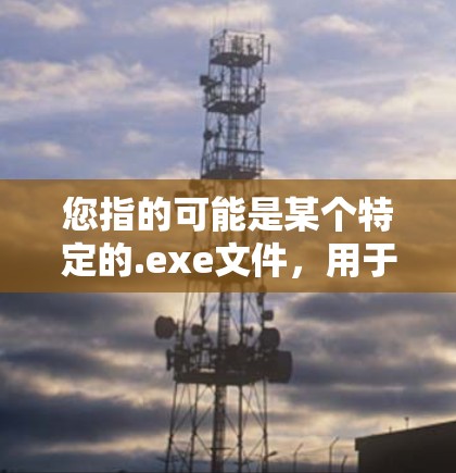 您指的可能是某个特定的.exe文件,用于配置或者管理VPN服务器或客户端。以下是一些可能的步骤和内容,您可以根据具体需求调整