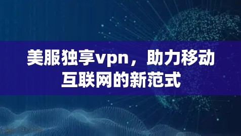 美服独享vpn，助力移动互联网的新范式