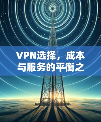 VPN选择,成本与服务的平衡之道