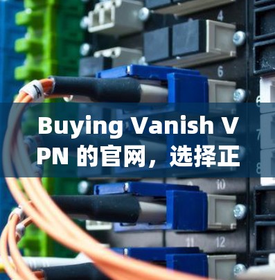 Buying Vanish VPN 的官网，选择正确渠道保障网络安全
