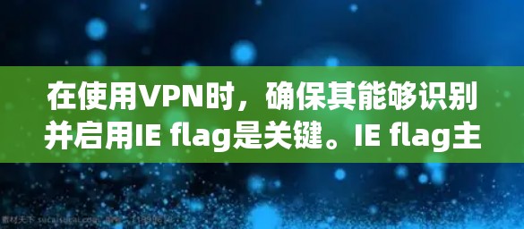 在使用VPN时，确保其能够识别并启用IE flag是关键。IE flag主要用于保护用户个人信息，防止非法数据收集。以下是逐步的解决方案