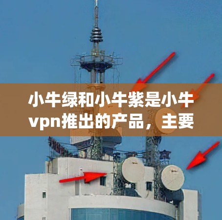 小牛绿和小牛紫是小牛vpn推出的产品，主要面向网红和小红书用户，用于提升曝光率和增加销售。以下是关于小牛绿和小牛紫的详细介绍