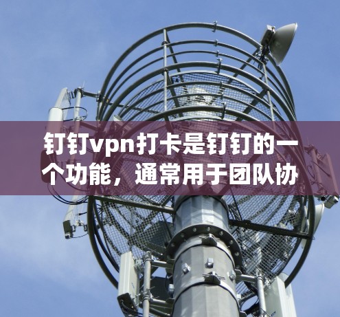 钉钉vpn打卡是钉钉的一个功能，通常用于团队协作中，可能涉及VPN功能来保障数据安全和访问控制。以下是关于钉钉vpn打卡的详细解答
