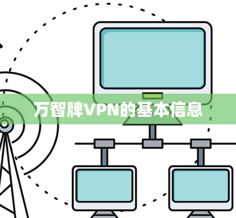 万智牌VPN的基本信息