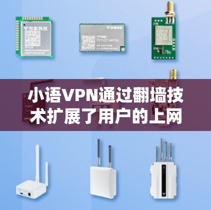 小语VPN通过翻墙技术扩展了用户的上网权限，使得用户能够访问更广泛的网络资源。然而，这种技术也带来了技术和安全上的挑战。以下是对小语VPN翻墙的详细分析