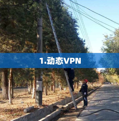 1.动态VPN