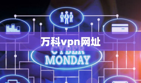 万科vpn网址