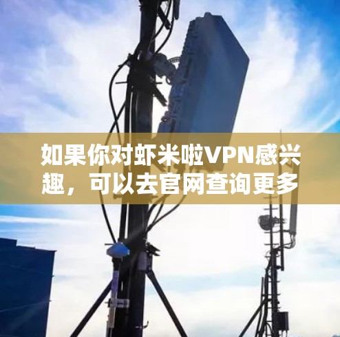 如果你对虾米啦VPN感兴趣，可以去官网查询更多细节，或者加入相关的VPN社区，了解更多用户经验和推荐