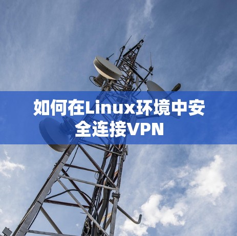 如何在Linux环境中安全连接VPN
