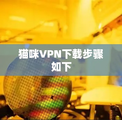 猫咪VPN下载步骤如下
