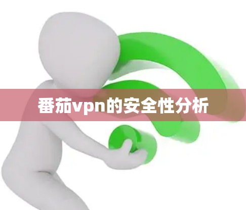 番茄vpn的安全性分析