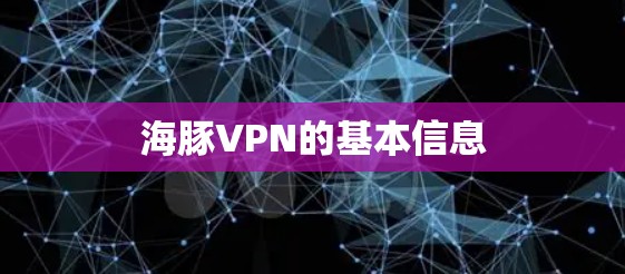 海豚VPN的基本信息
