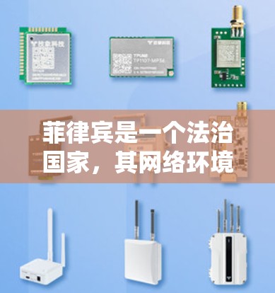 菲律宾是一个法治国家，其网络环境和言论自由受到国家法律的保护。关于菲律宾的 VPN 服务，以下是一些要点和建议