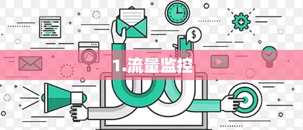 1.流量监控
