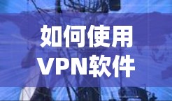 如何使用VPN软件管理通信系统
