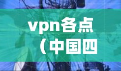 vpn各点（中国四个主要网络运营商）之间的互访通常指的是运营商之间进行的技术交流和合作，分享最新的网络技术、产品、服务和解决方案。这些互访可能包括以下内容