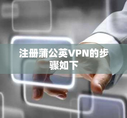 注册蒲公英VPN的步骤如下