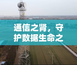 通信之肾，守护数据生命之源