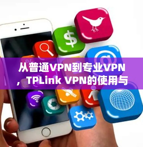 从普通VPN到专业VPN，TPLink VPN的使用与优化