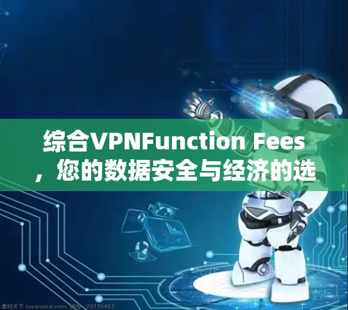 综合VPNFunction Fees,您的数据安全与经济的选择