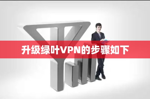 升级绿叶VPN的步骤如下