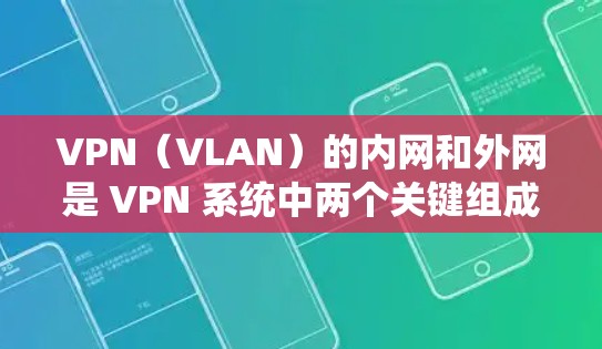 VPN(VLAN)的内网和外网是 VPN 系统中两个关键组成部分,用于连接到 VPN 的网络。以下是关于 VPN 内网和外网的详细解释