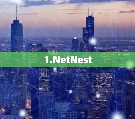 1.NetNest