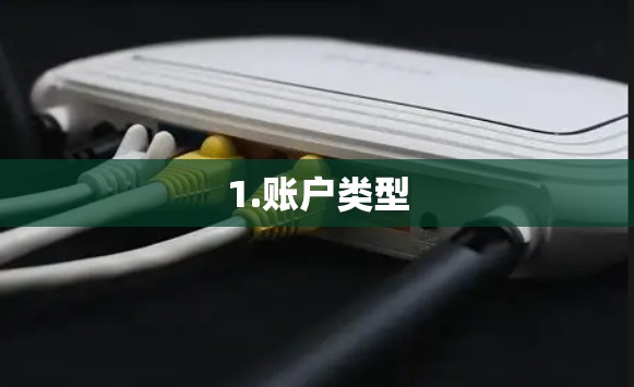 1.账户类型