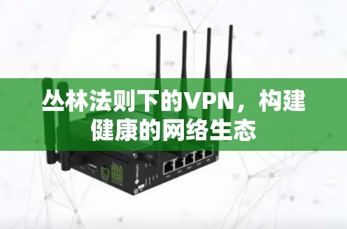 丛林法则下的VPN,构建健康的网络生态