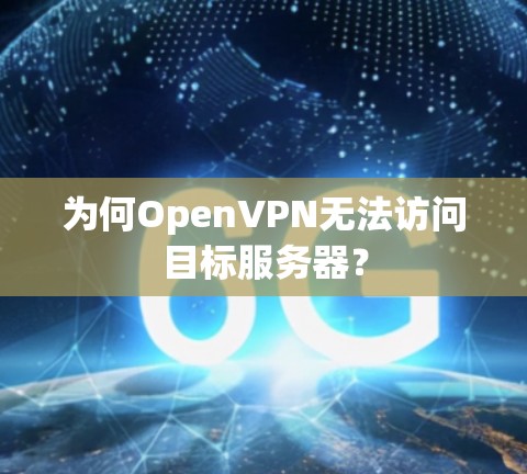 为何OpenVPN无法访问目标服务器？
