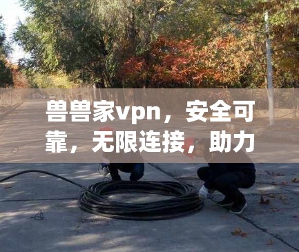 兽兽家vpn，安全可靠，无限连接，助力您的网络生活