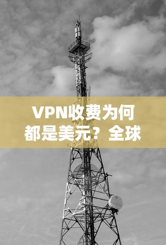 VPN收费为何都是美元？全球各国使用现状及解决方案