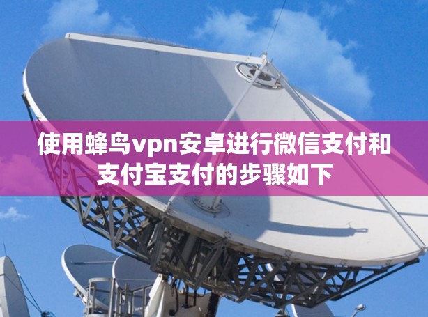 使用蜂鸟vpn安卓进行微信支付和支付宝支付的步骤如下