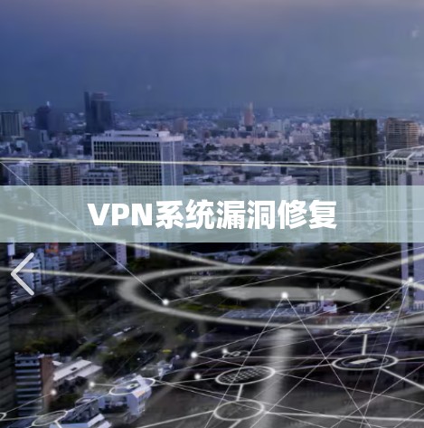 VPN系统漏洞修复