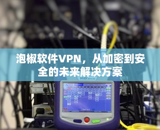 泡椒软件VPN，从加密到安全的未来解决方案