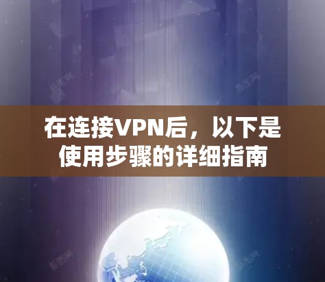 在连接VPN后，以下是使用步骤的详细指南