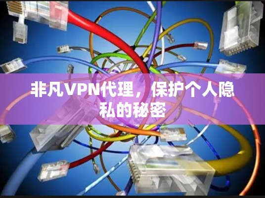 非凡VPN代理，保护个人隐私的秘密