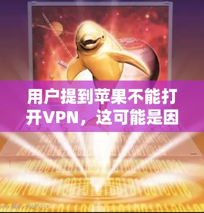 用户提到苹果不能打开VPN，这可能是因为VPN软件本身无法连接到外部网络，或者因为某些配置问题导致无法正常工作。以下是一些可能的原因和解决方案